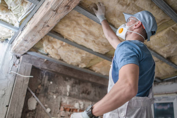 Best Spray Foam Insulation  in Wacousta, MI