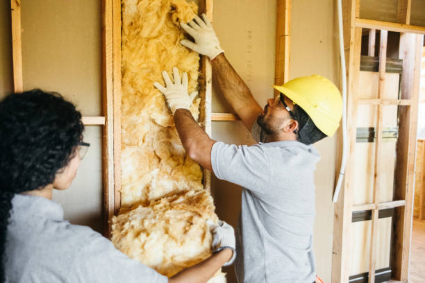 Insulation Contractors for Homes in Wacousta, MI