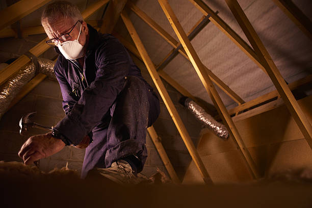 Best Local Insulation Services  in Wacousta, MI